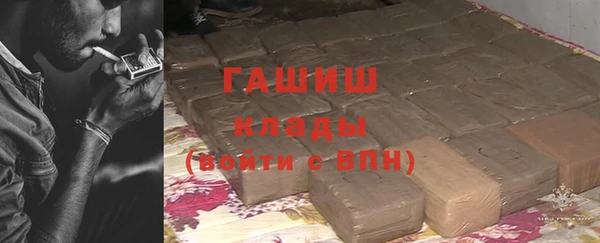 сатива Губаха