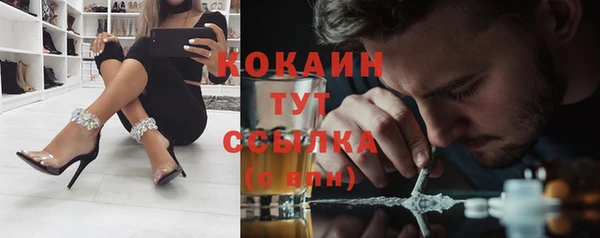 соль ск Грязовец