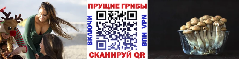купить наркоту  KRAKEN ТОР  Галлюциногенные грибы ЛСД  Касимов 