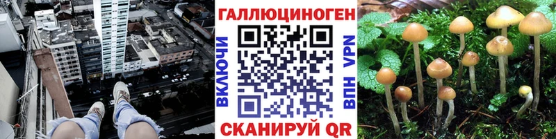 Псилоцибиновые грибы GOLDEN TEACHER Касимов