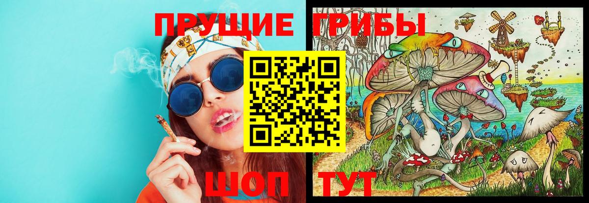 Псилоцибиновые грибы Psilocybe Касимов