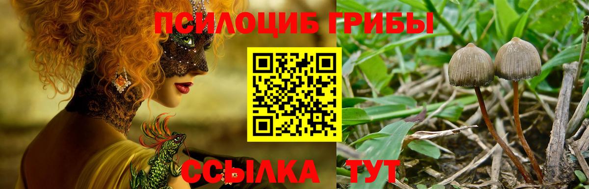 Псилоцибиновые грибы Cubensis  Вход с VPN  Касимов 